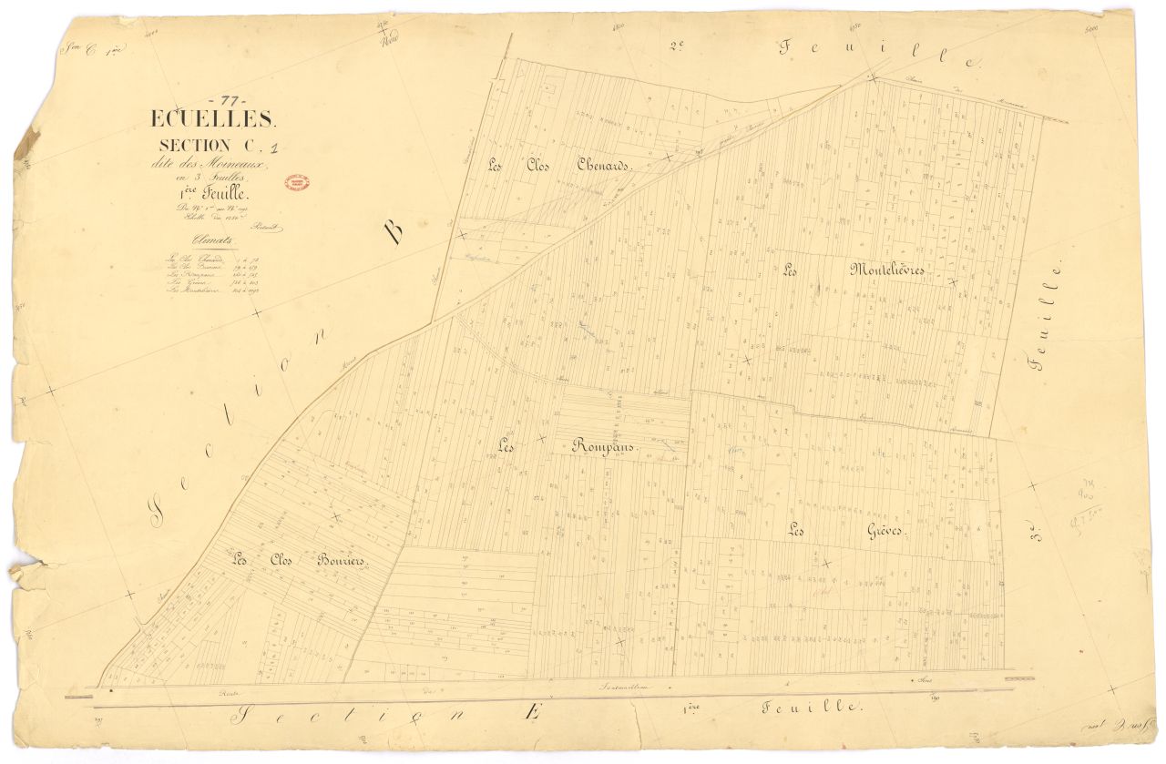 Section C dite des Moineaux, en 3 feuilles, 1ere feuille