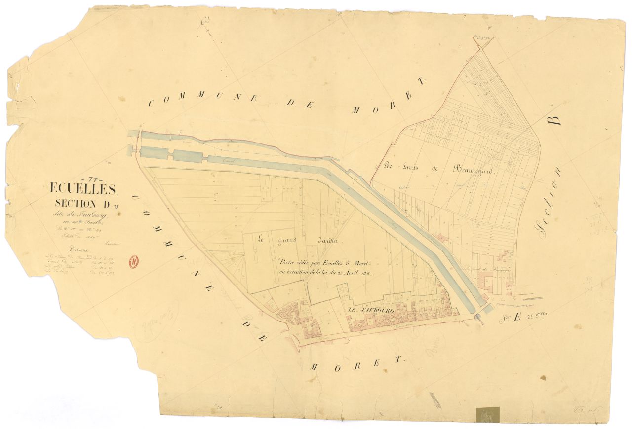 Section D dite du Faubourg, feuille unique