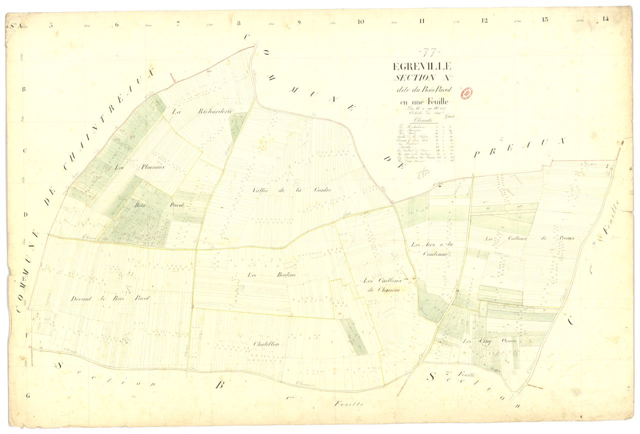 Section A dite du Bois-Pacot, feuille unique