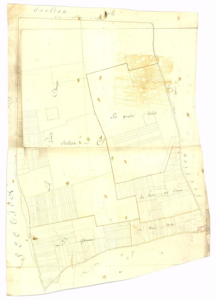minute, section C
