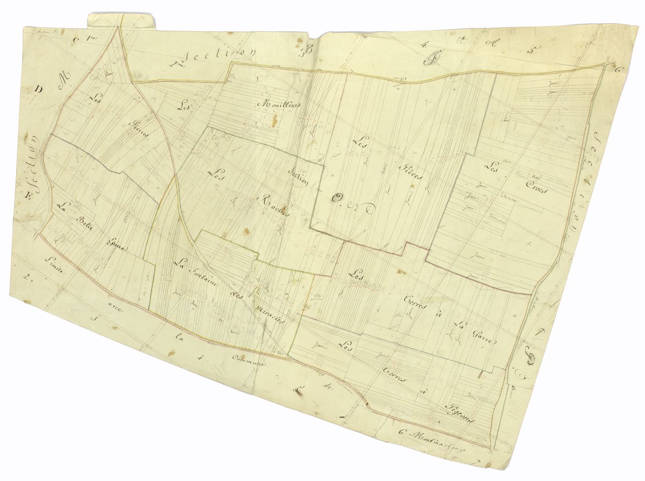 minute, section N