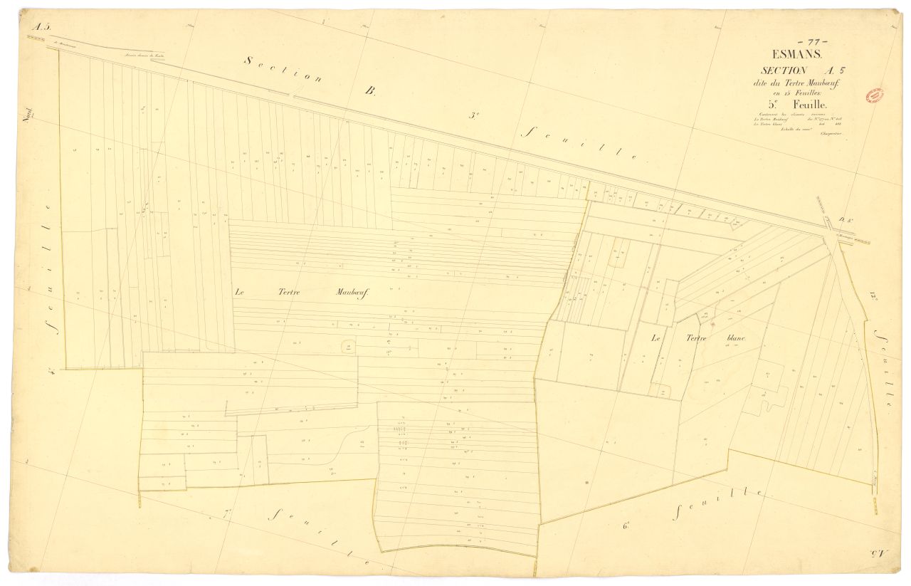 Section A dite du Tertre-Mauboeuf, en 15 feuilles, 5eme feuille