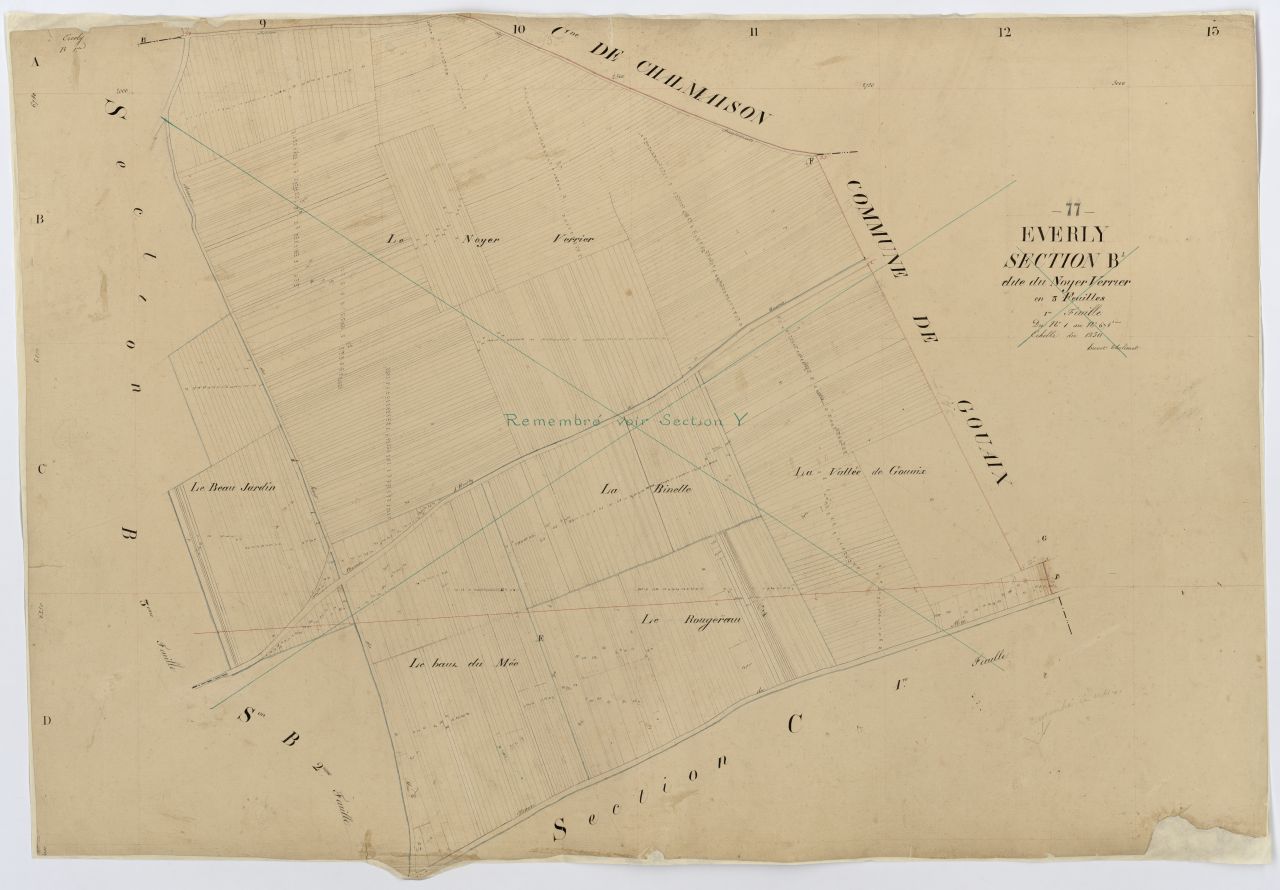 Section B1