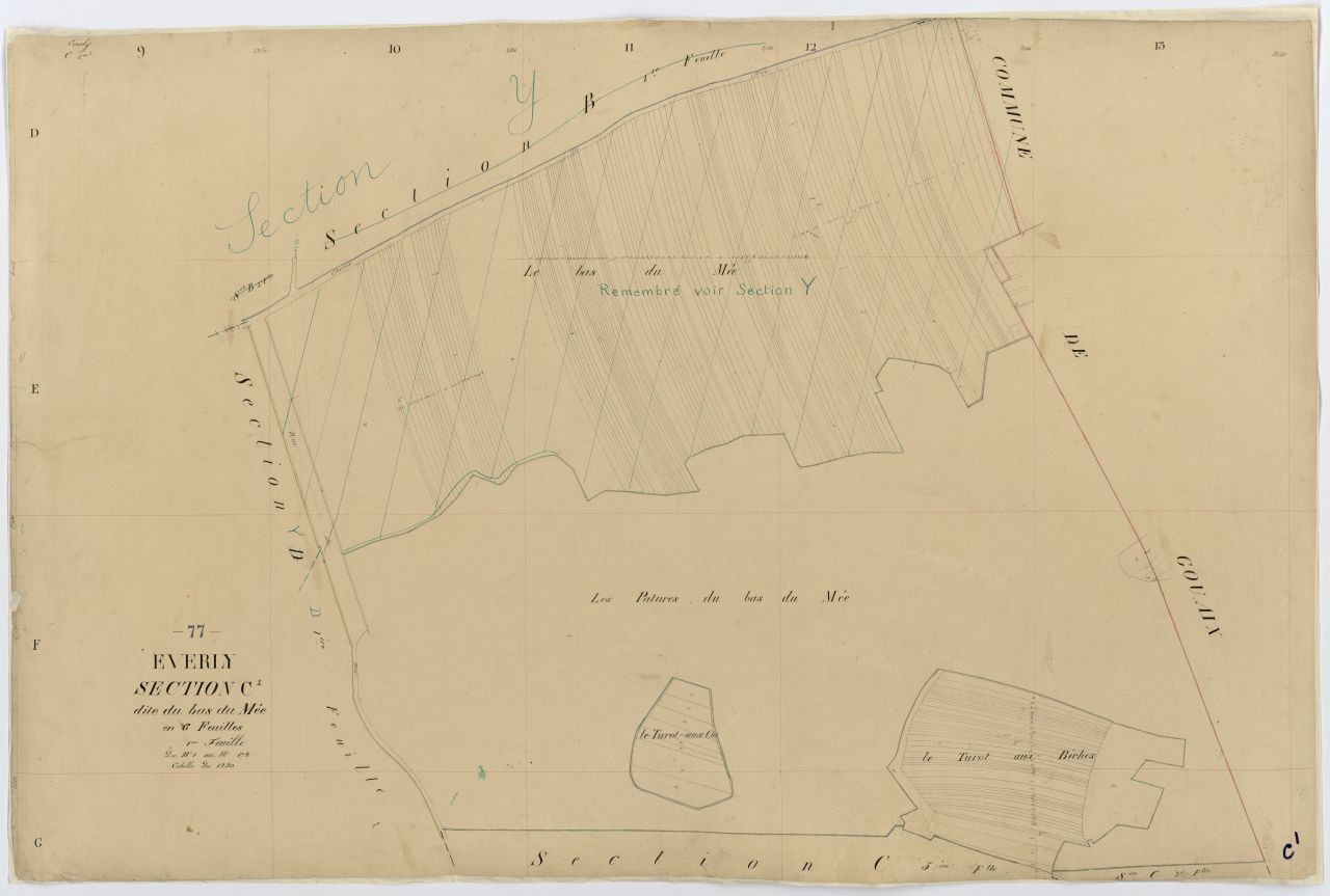 Section C1