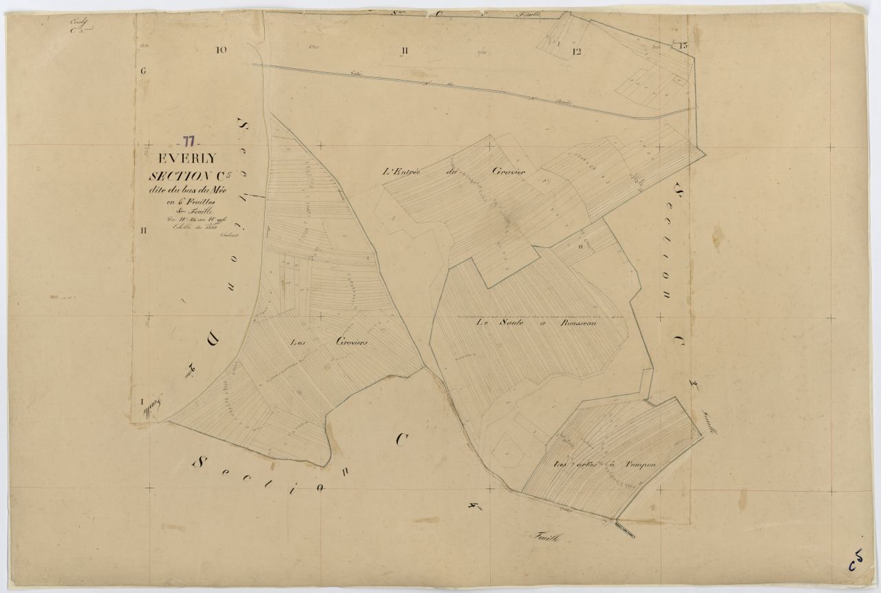 Section C5