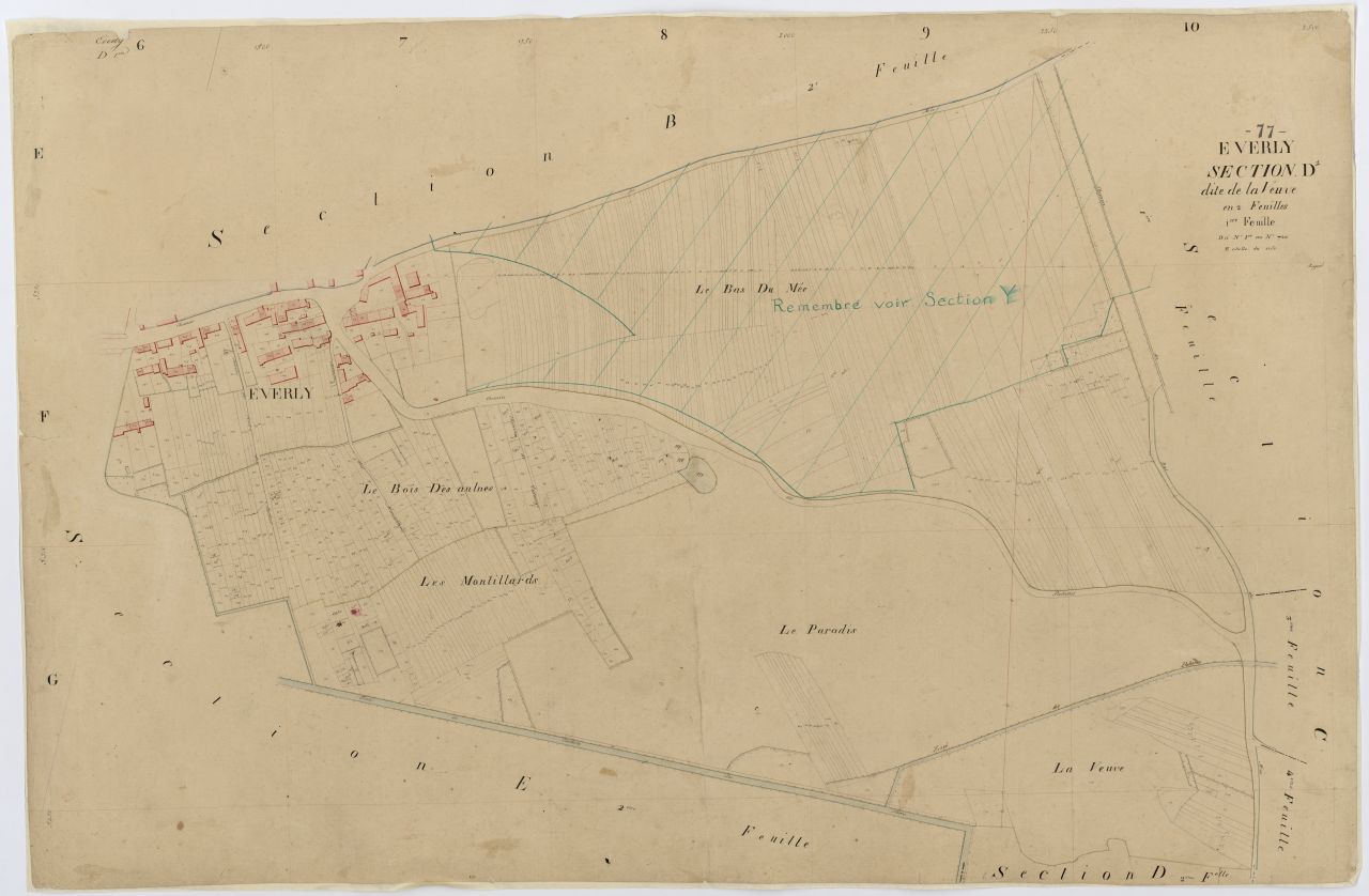 Section D1