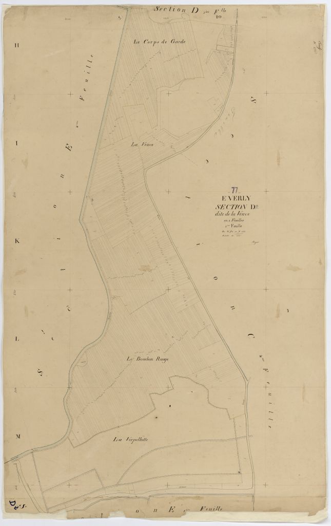 Section D2