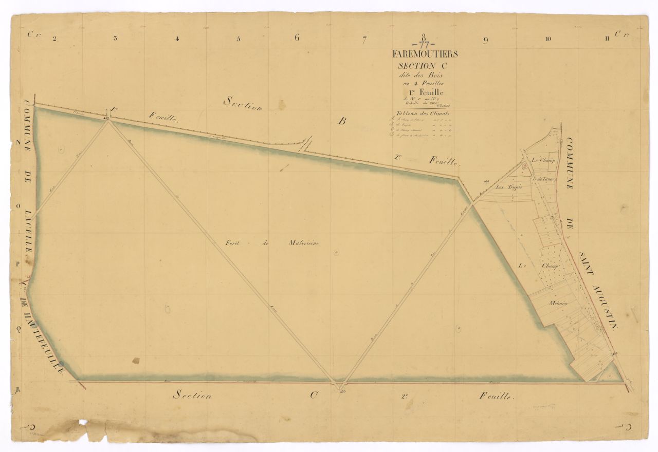 Section C1