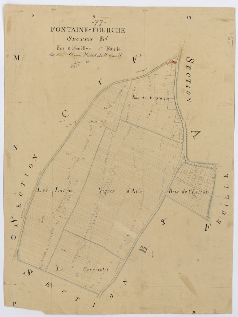 Section B1