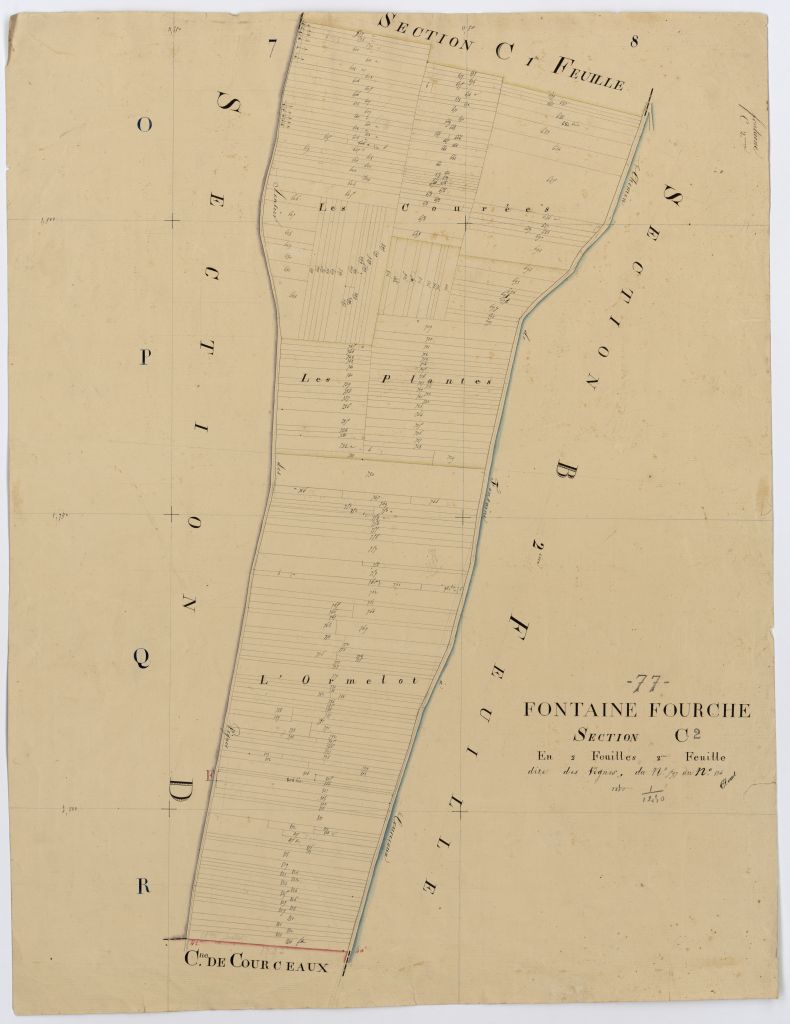 Section C2