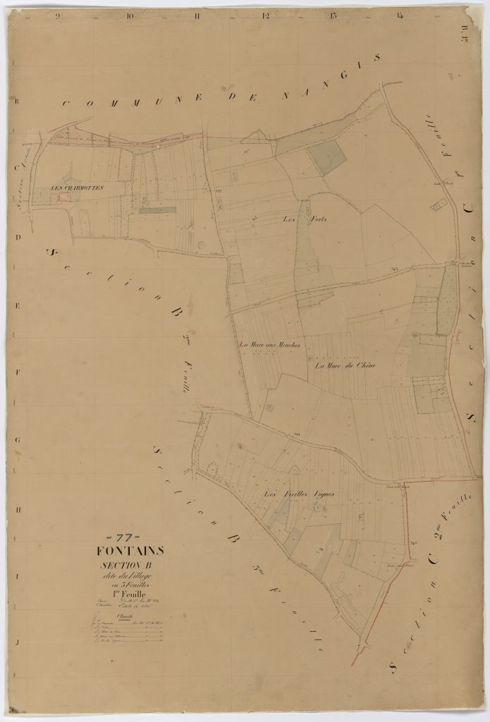 Section B1