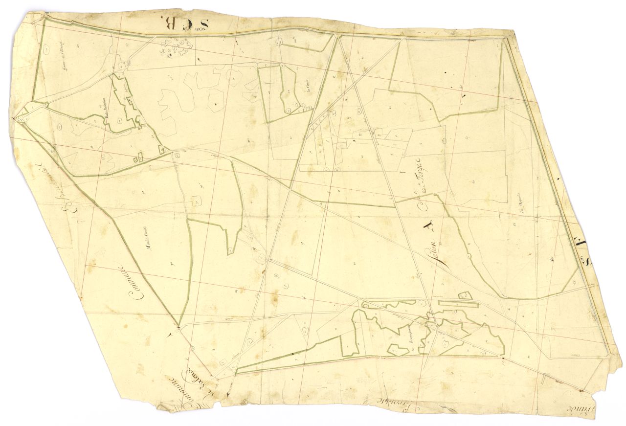 minute, section A