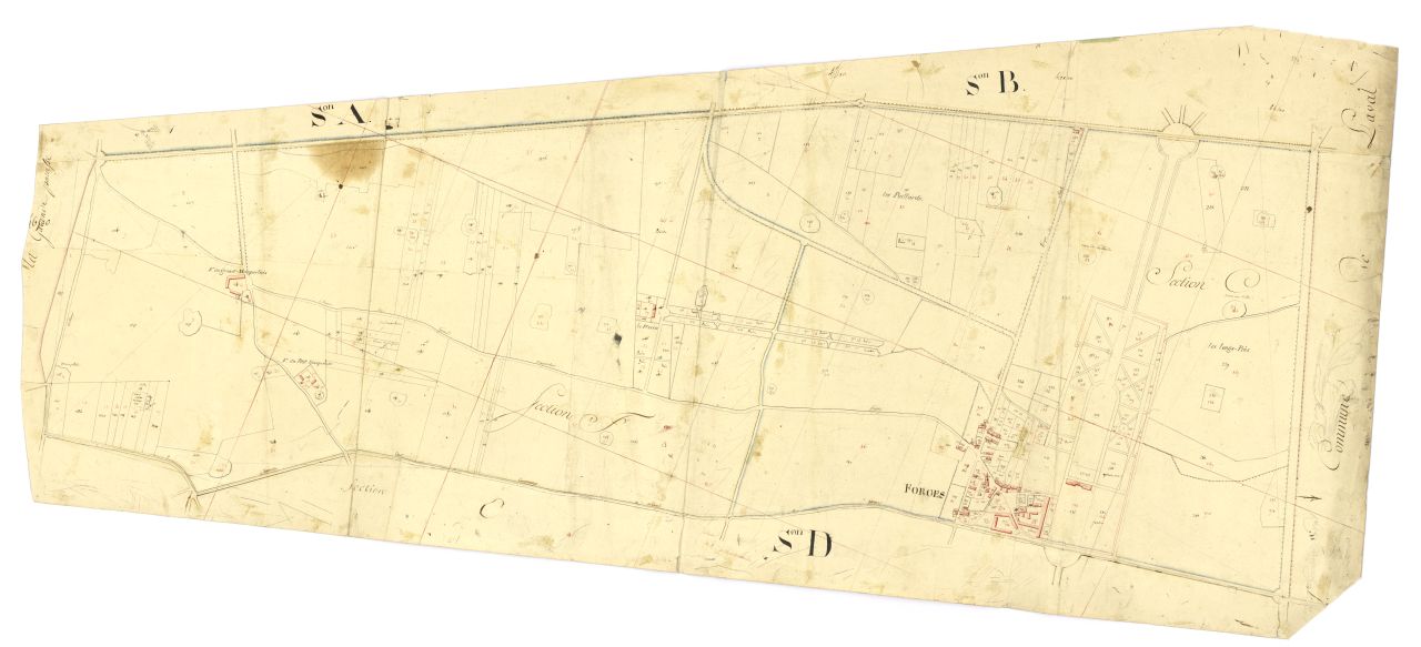 minute, sections C et F
