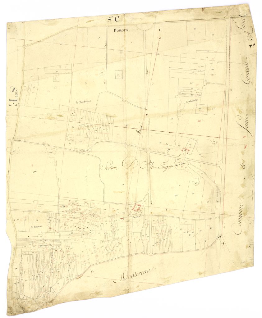minute, section D