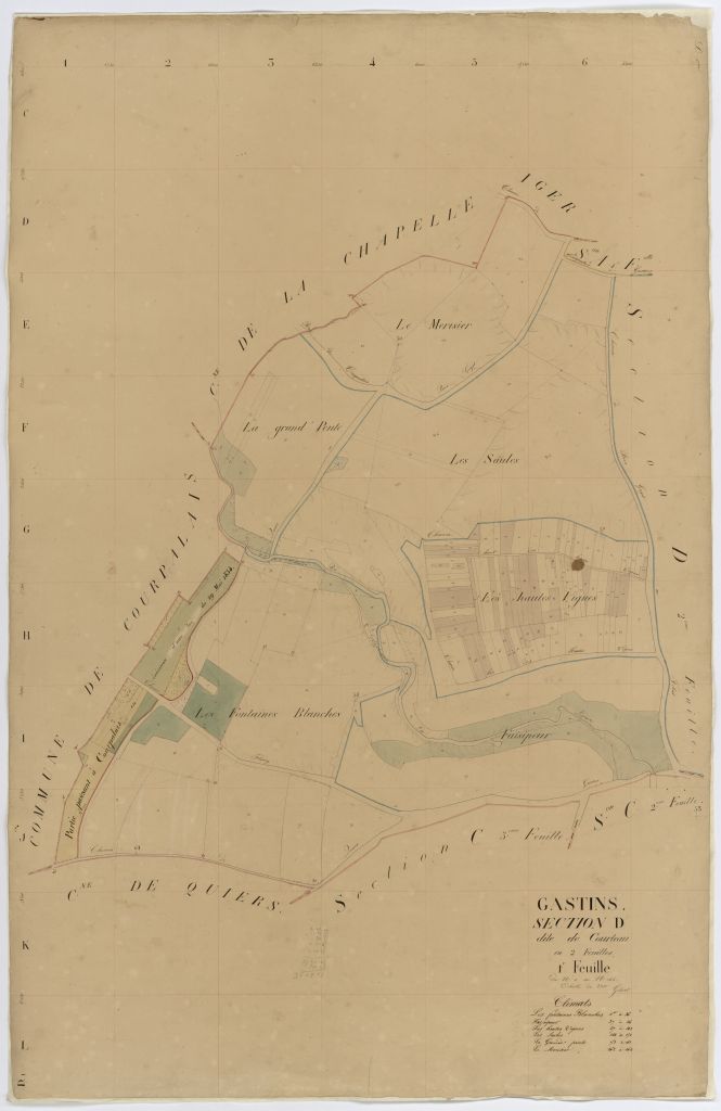 Section D1