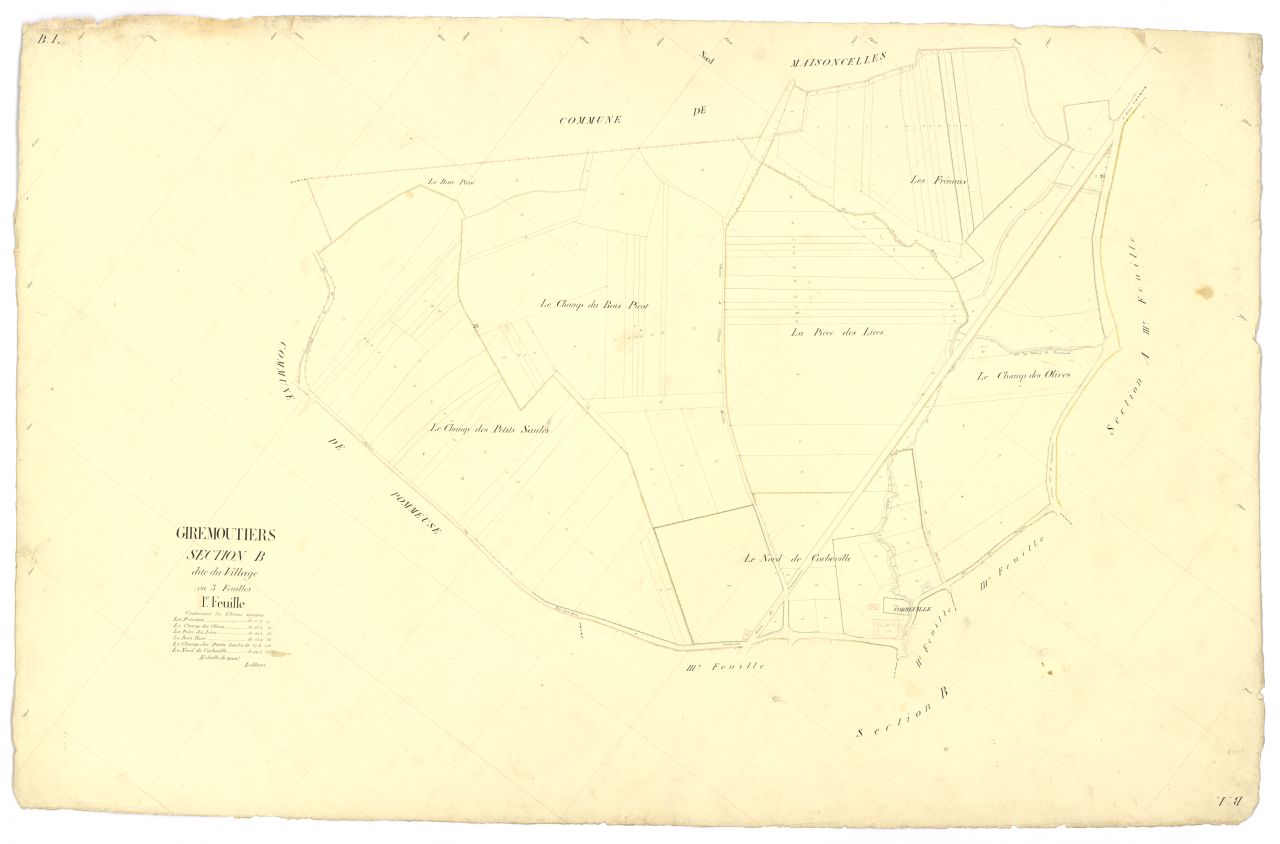 Section B1