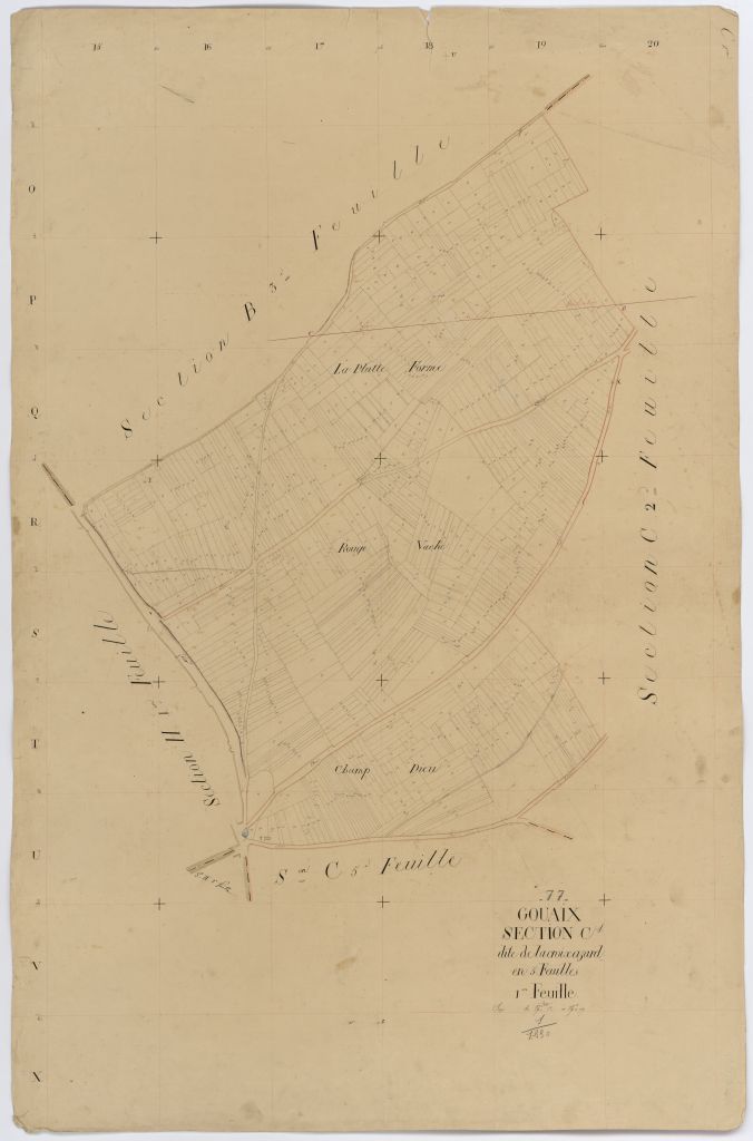 Section C1