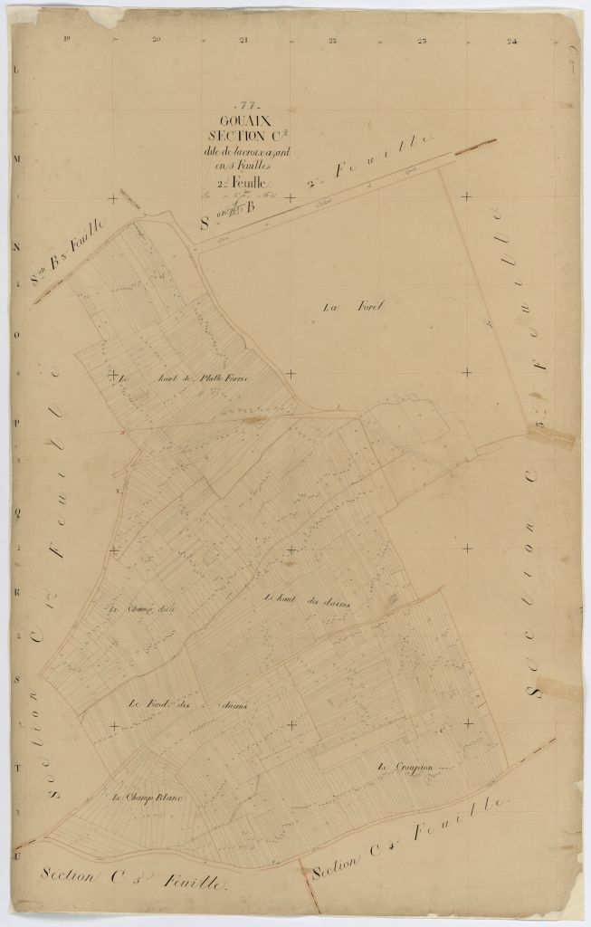 Section C2