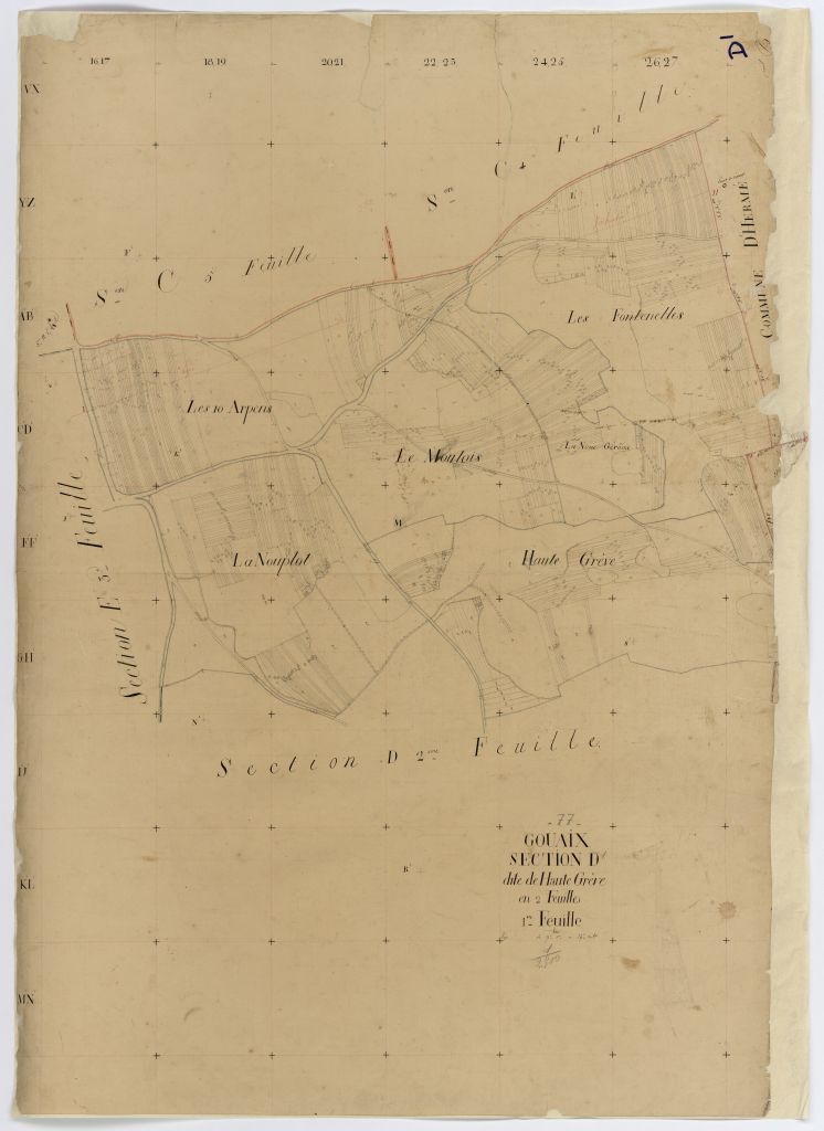 Section D1