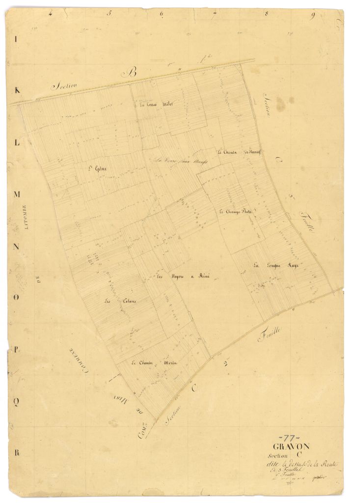 Section C1