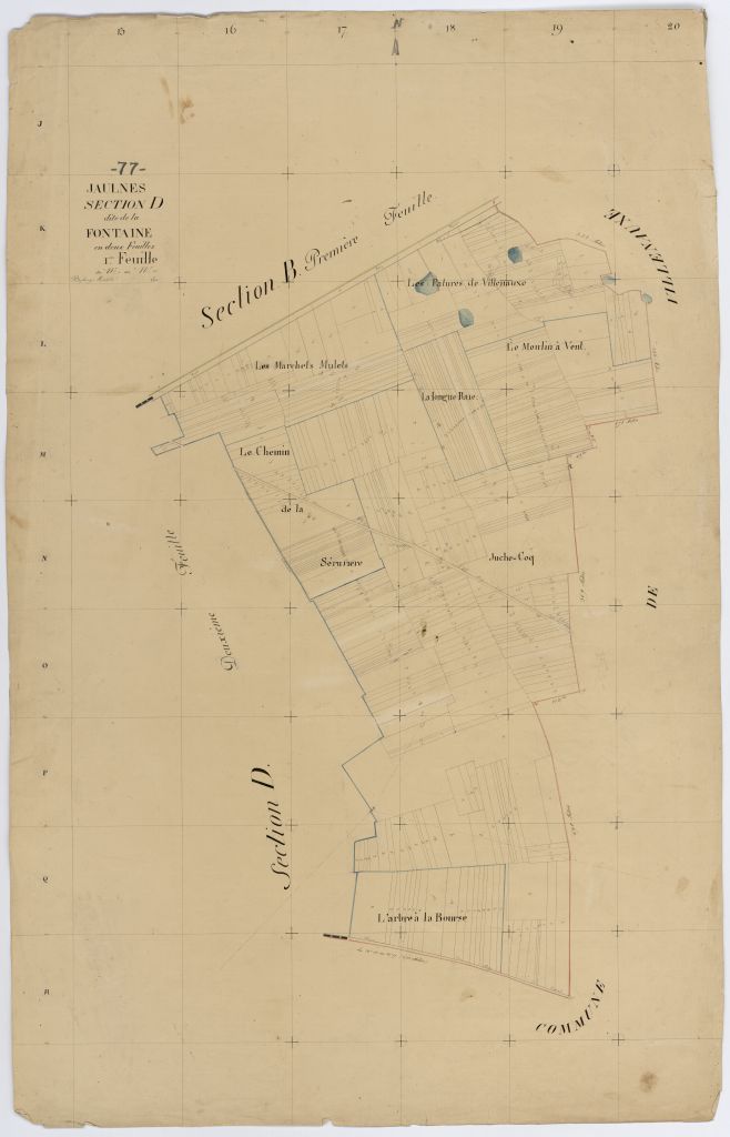 Section D1