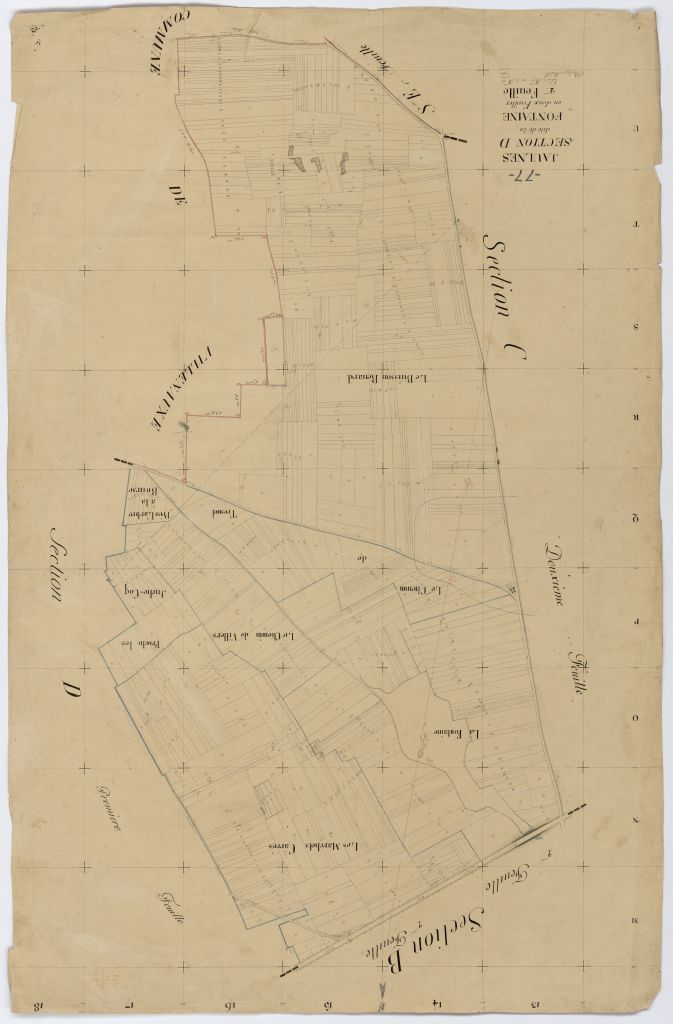 Section D2