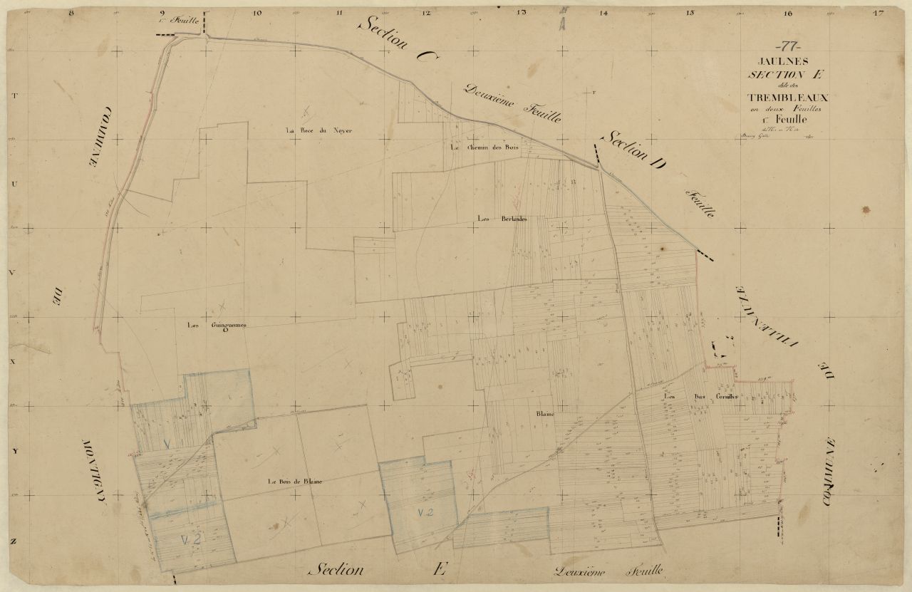 Section E1