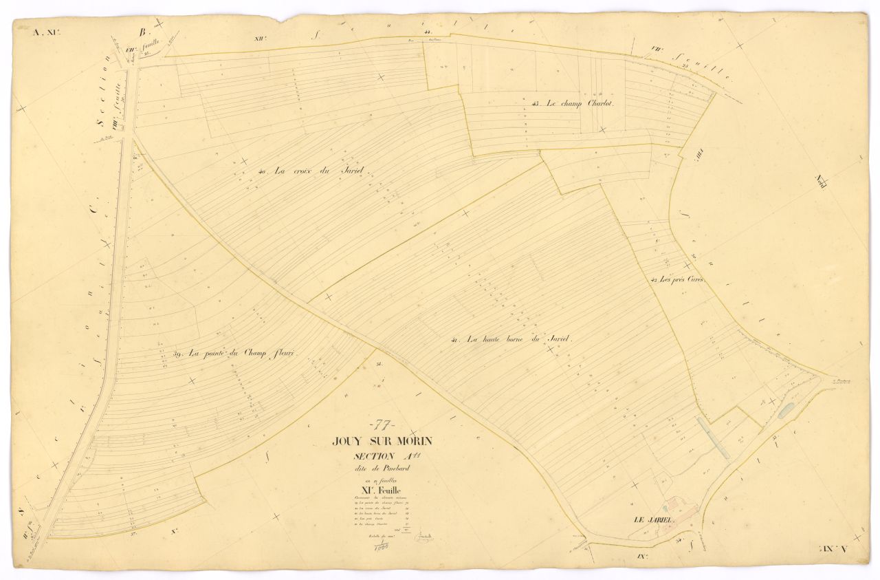 Section A11