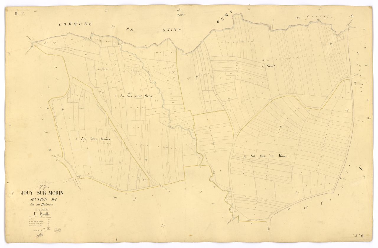 Section B1