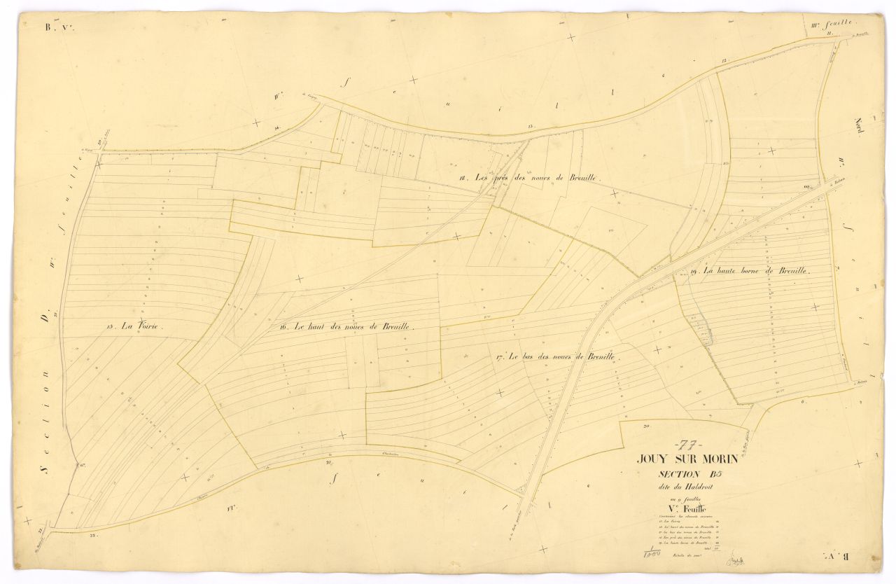 Section B5