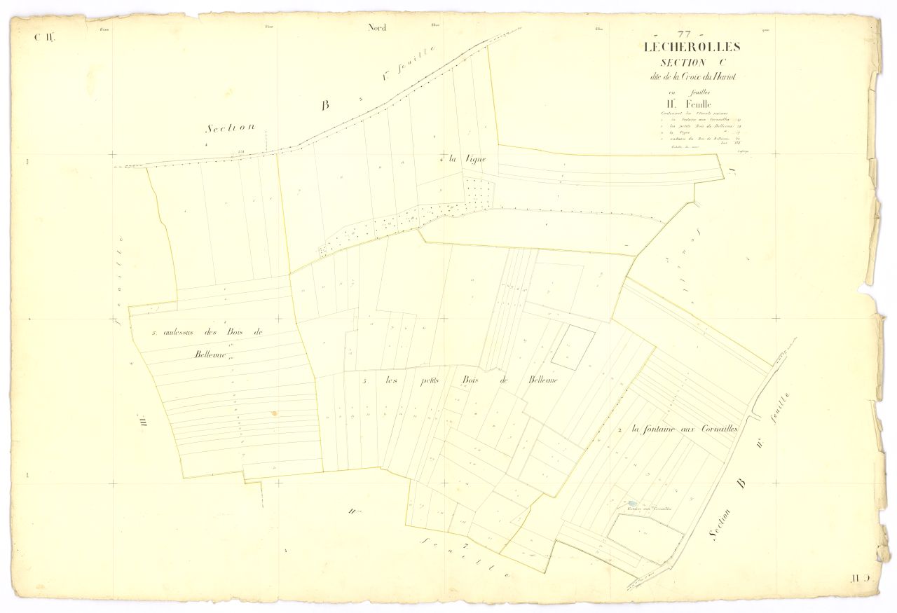 Section C2