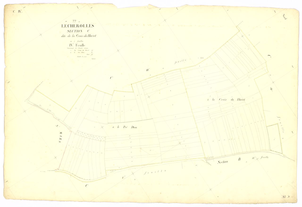 Section C4