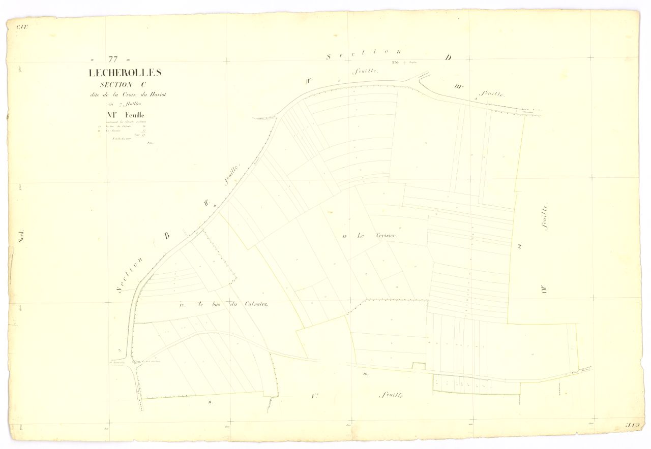 Section C6