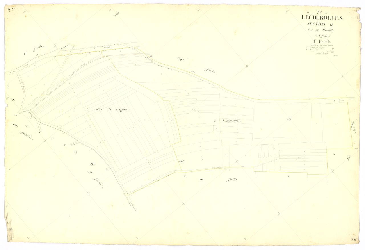 Section D1