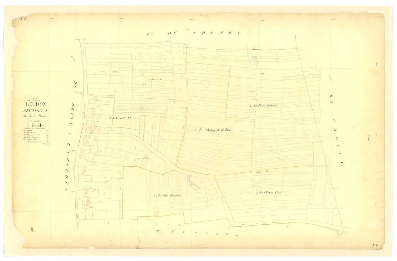 Section A1
