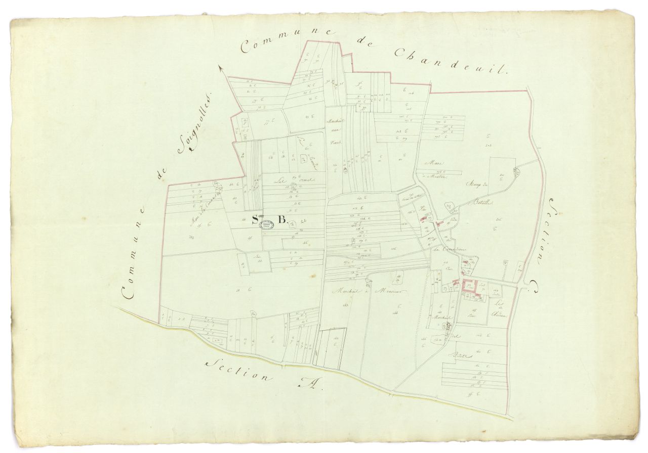 copie, section B
