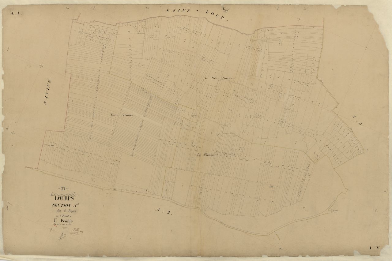 Section A1