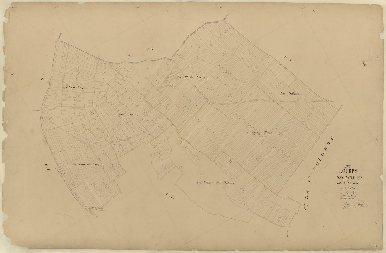 Section C1