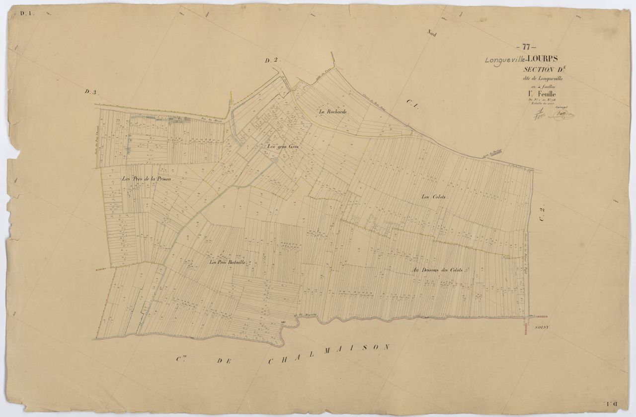 Section D1