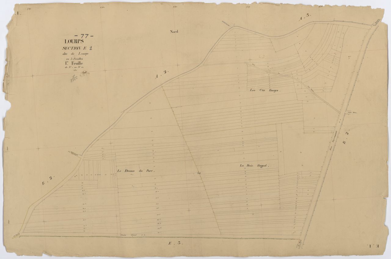 Section E1