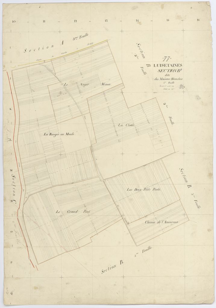 Section B1