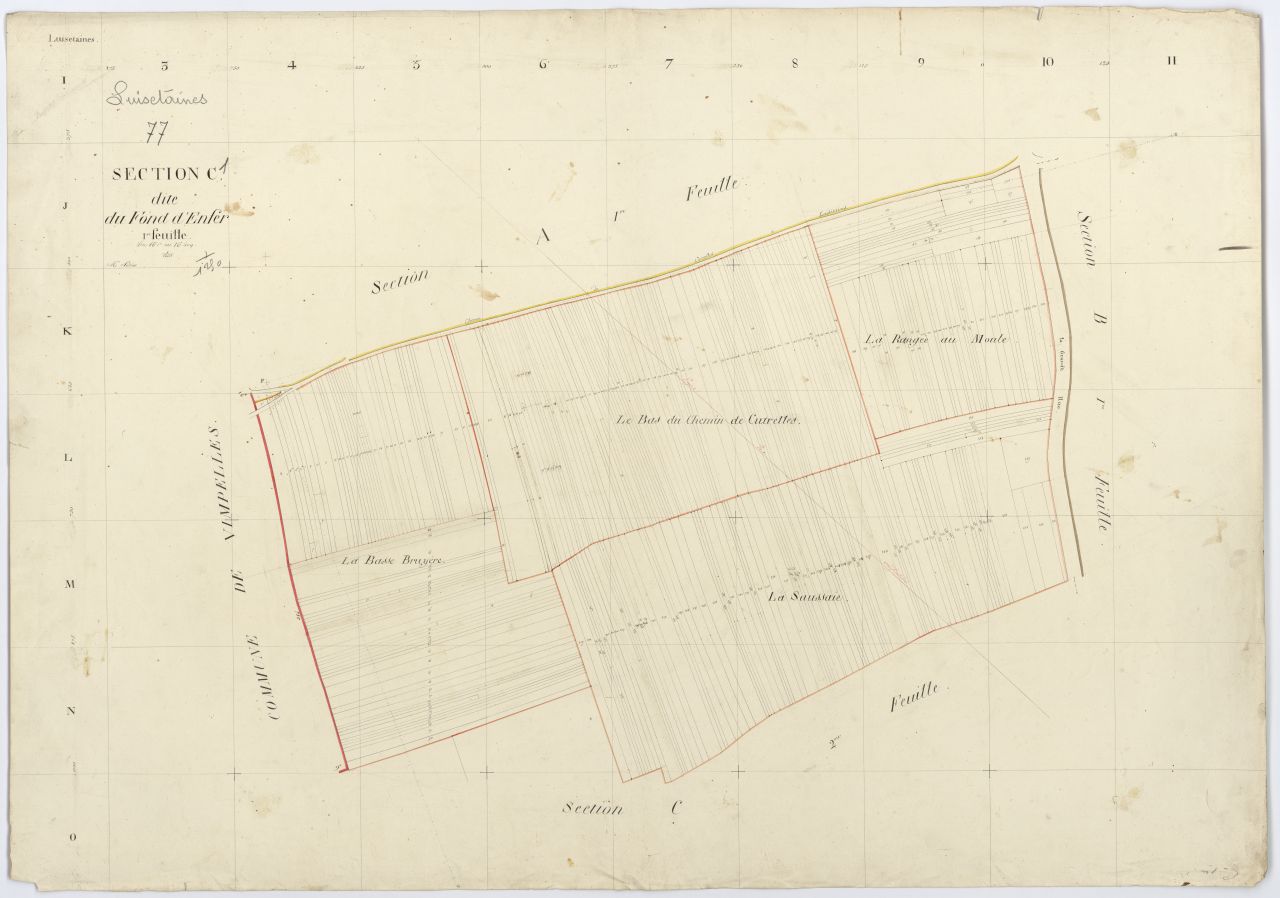 Section C1