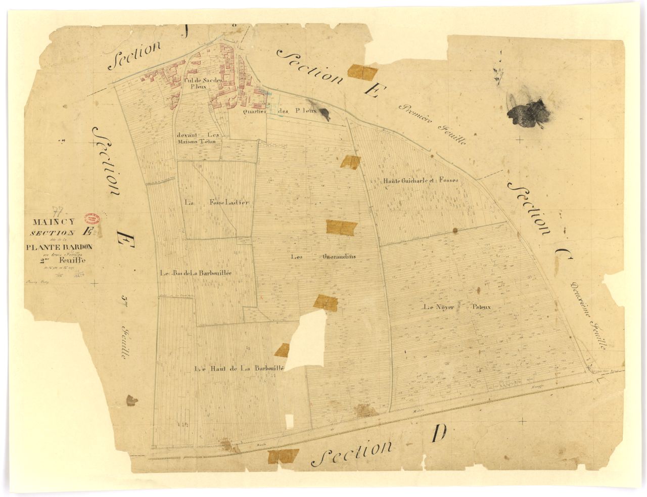 Section E dite de la Plante-Bardon, en 3 feuilles, 2eme feuille