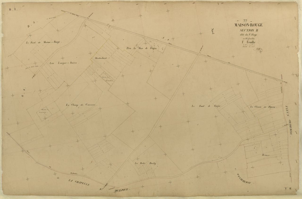 Section B1