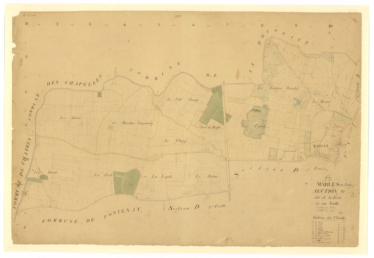 Section A