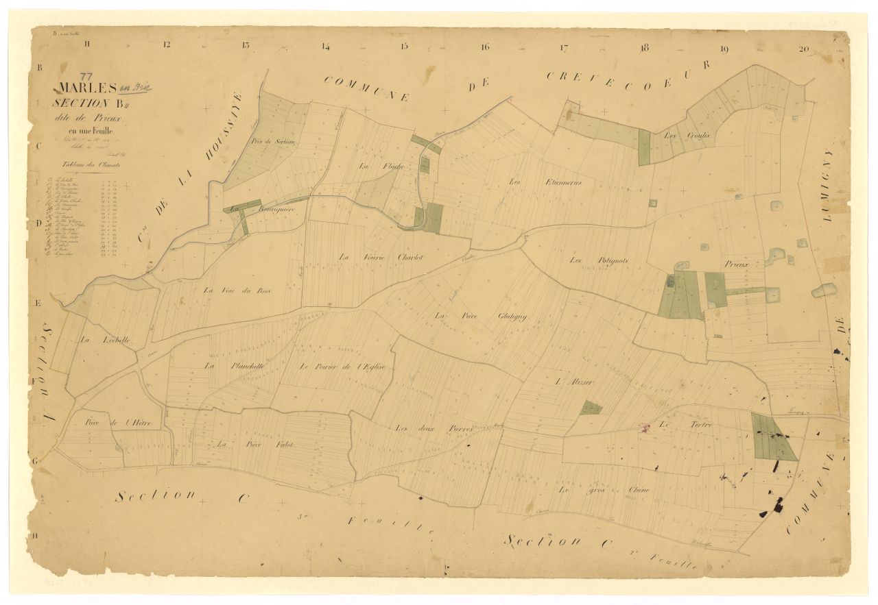 Section B