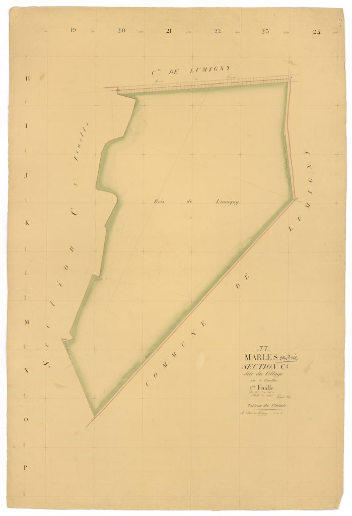 Section C1