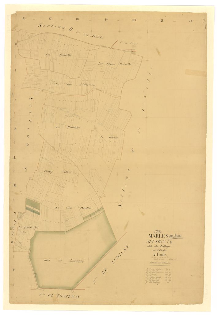 Section C2