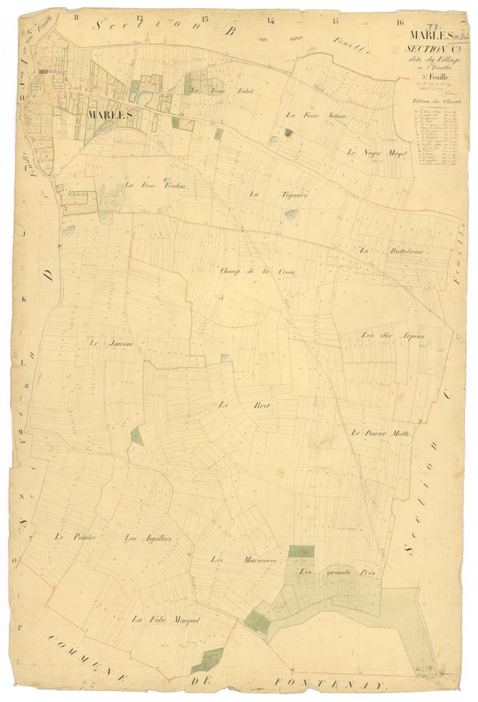 Section C3