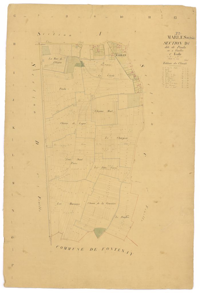 Section D1